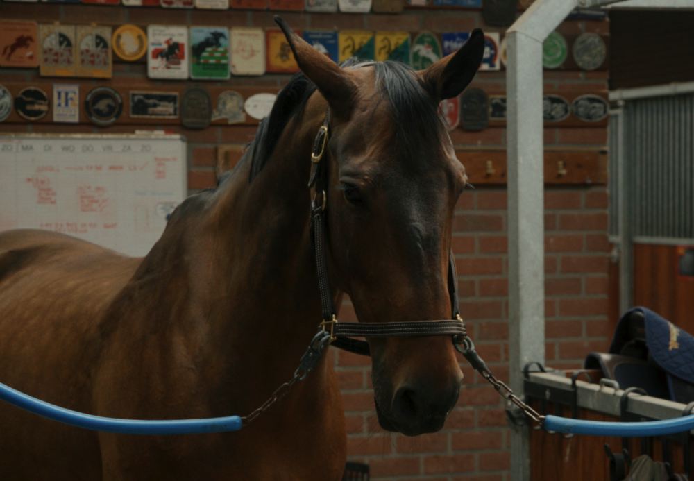 Air Horse One