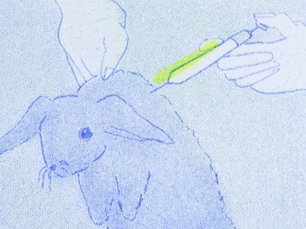 The Rabbit Always Dies