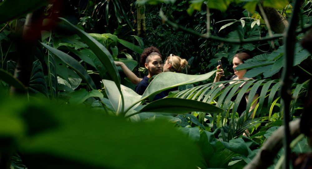 Guided Tour